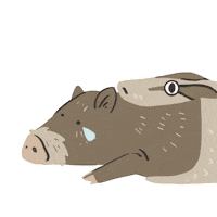 Snake Wildlife Sticker