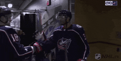 dust off ice hockey GIF by NHL
