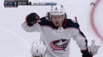 happy ice hockey GIF by NHL