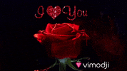 I Love You Je Taime GIF by Vimodji