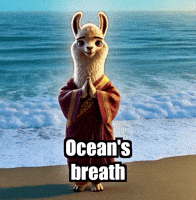 Ocean Wisdom GIF by dalaillamazen