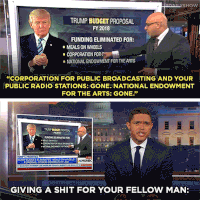 GIF by The Daily Show with Trevor Noah