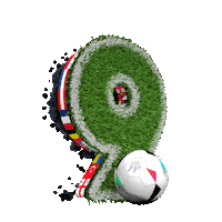 Football Soccer Sticker by Kochstrasse™