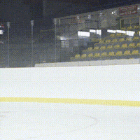 SKODACZ fun car hockey win GIF