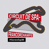 Spa-Francorchamps Racing GIF by Porsche Carrera Cup Deutschland
