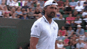 goran ivanisevic wave GIF by Wimbledon