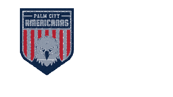 Womens Soccer Football Sticker by USL