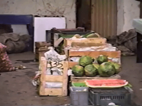 Vintage Vhs GIF by jorgemariozuleta