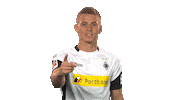 football hello Sticker by Bundesliga