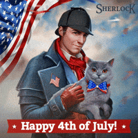 Independence Day Cat GIF by G5 games