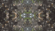 Art Love GIF by jorgemariozuleta