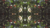 Art Love GIF by jorgemariozuleta