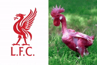 Youll Never Walk Alone GIF