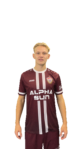 Logo Sticker by BFC Dynamo