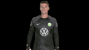 Oh No Bundesliga GIF by VfL Wolfsburg