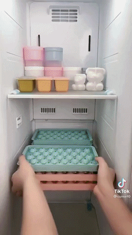 rainbergpk giphyupload GIF