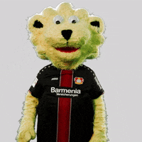 hear europa league GIF by Bayer 04 Leverkusen