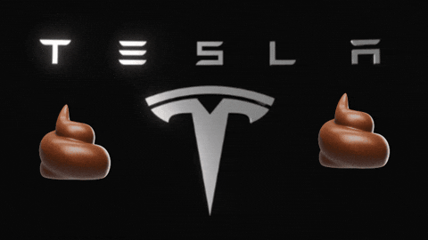 Mikaloun giphygifmaker giphyattribution GIF