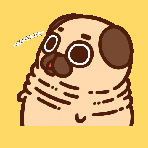 Dogs Pugs GIF by Puglie Pug