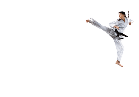 Vervetaekwondo giphyupload taekwondo martialarts tkd Sticker