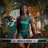 South Florida Horns Up GIF by USF Athletics