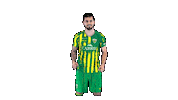 Liga Nos Sticker by CD Tondela