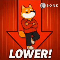 Crypto Solana GIF by BONK
