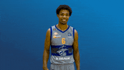 British Basketball GIF by Sheffield Sharks