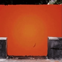 streetart GIF by The Videobook