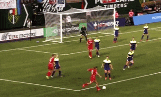 save reign fc GIF by Seattle Reign FC