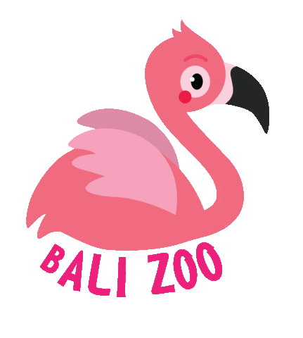 Pink Bird Sticker by Bali Zoo