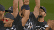 Major League Baseball Sport GIF by MLB