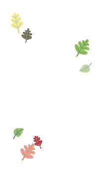 volkovaalyonai forest leaves trees eco Sticker