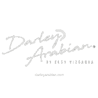 Mexico Sticker by Darley Arabian