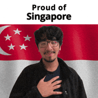 Singapore Sg GIF