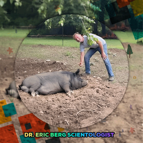 drericbergscientologist giphygifmaker GIF