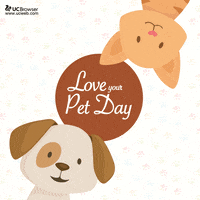 GIF by UC Browser