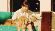 Stay Gold Puppy GIF