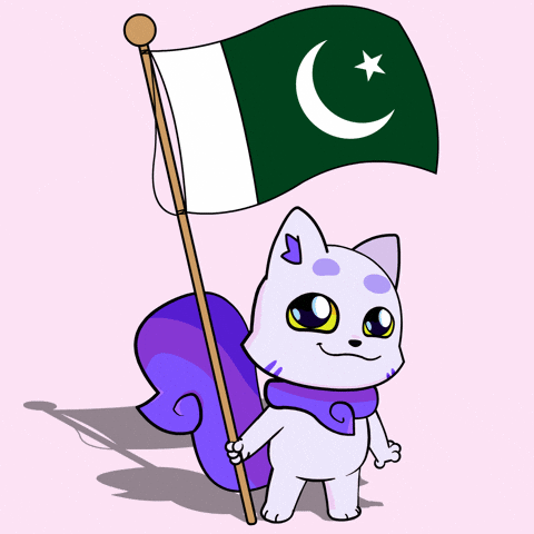 Flag Cricket GIF by Lucky Kat Studios