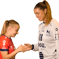 Sport Handball Sticker