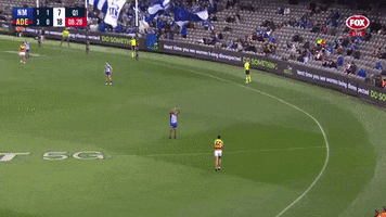 Round 4 Goal GIF by Adelaide Crows