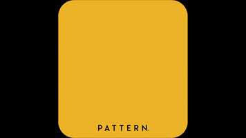2020 Election Vote GIF by Pattern Beauty