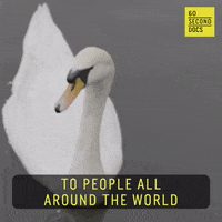 Climate Change Reaction GIF by 60 Second Docs