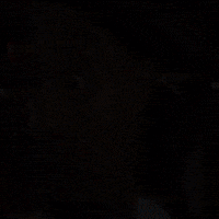 Flight Flightreacts GIF