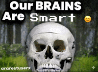 Video Skull GIF