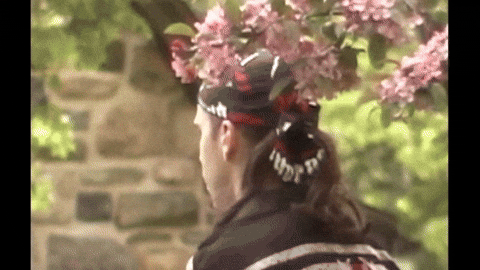 Goat GIF by Jerry Tremblay