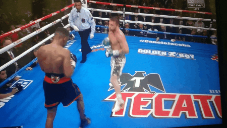  GIF