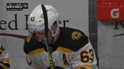 Boston Bruins GIF by Hockey Players Club