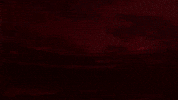 Afas Stadion Wit GIF by AZ Alkmaar