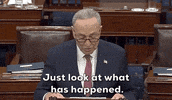 Chuck Schumer GIF by GIPHY News